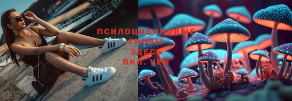 соль курить ск Дмитриев