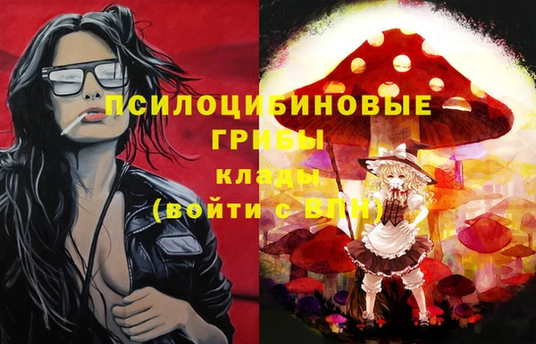 соль курить ск Дмитриев
